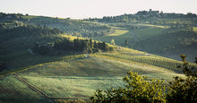 Load image into Gallery viewer, CASTELLO dei RAMPOLLA x La BOTTEGA Nicastro - November 29th